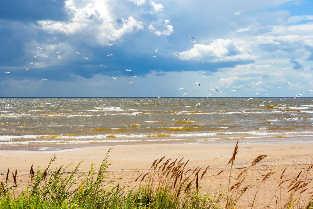 The shores of Lake Peipus