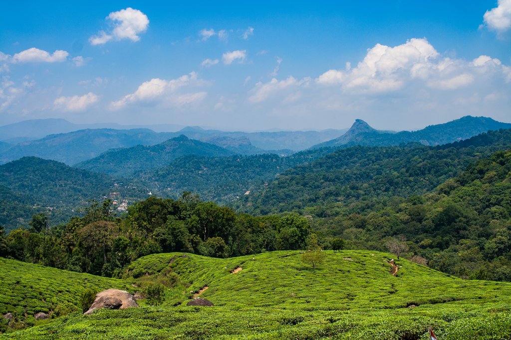 The hills of Munnar
