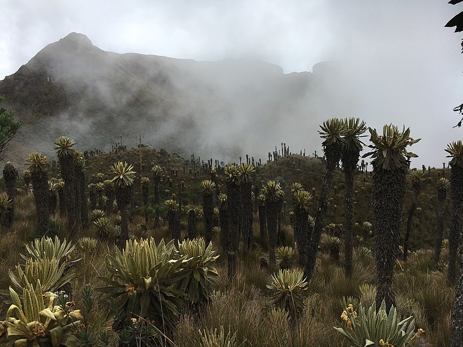 Nevada del Ruiz is an active volcano and feels like another planet