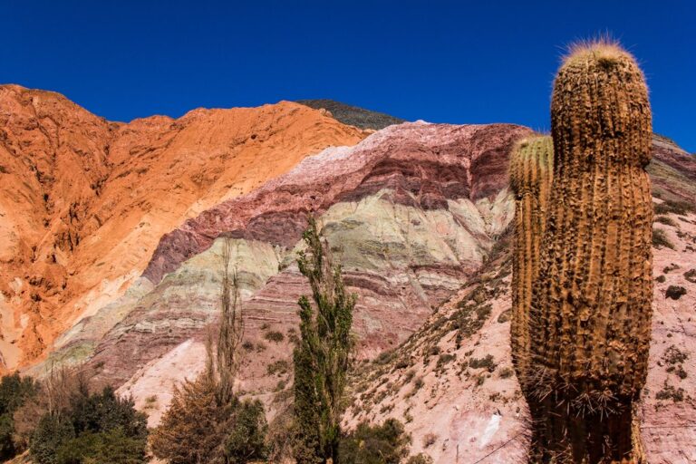 Buenos Aires & Salta Adventure - 8 Days