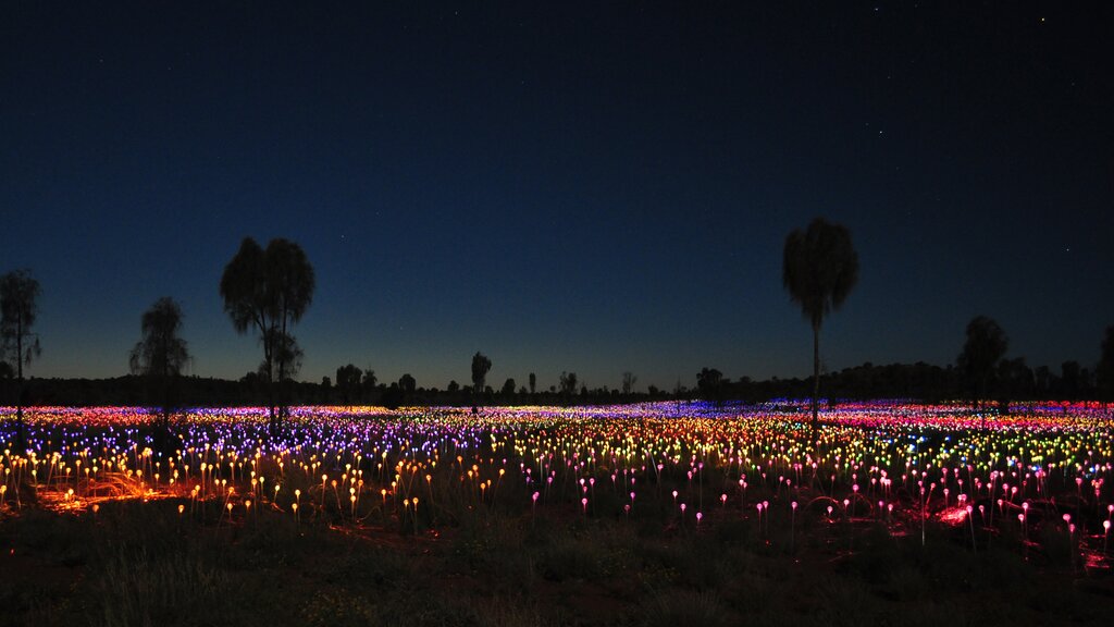 Field of Lights