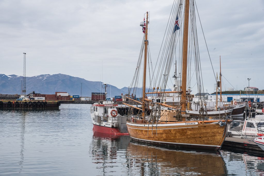 Join a whale watching trip in Husavik