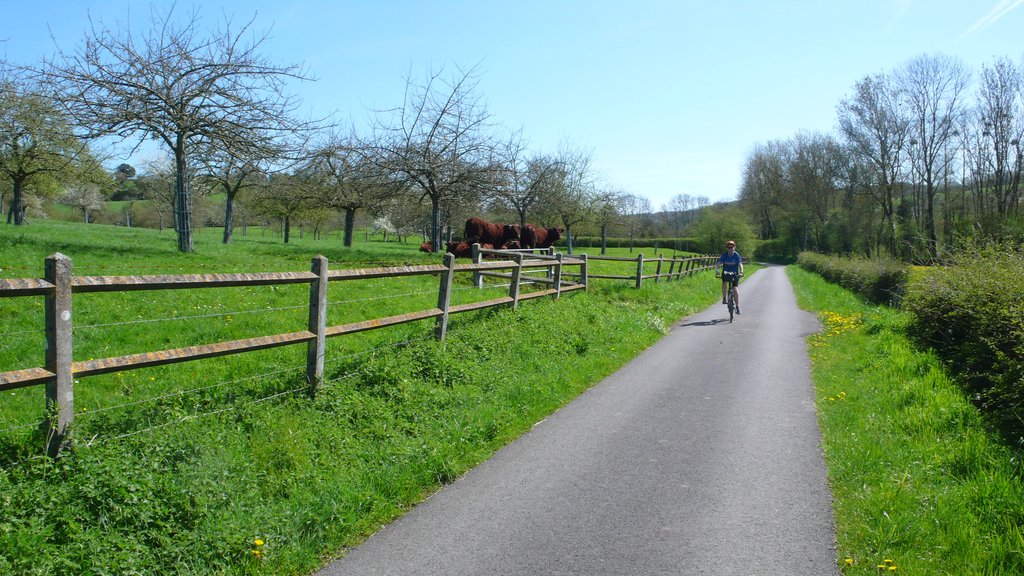 Ride on quiet paths in Normany