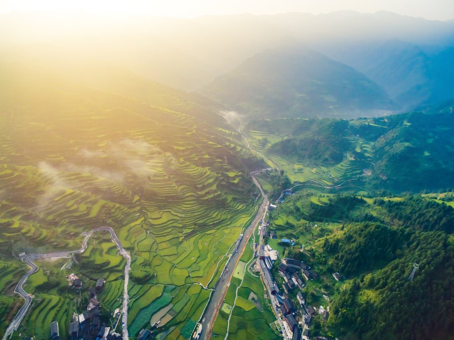 Rice Fields in Guizhou