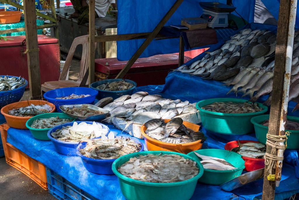 Fish market in Fort Kochi