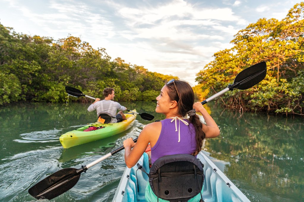 Perhaps explore the nearby mangroves