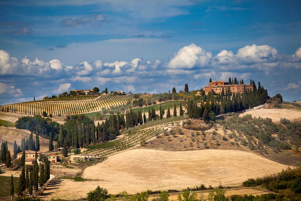 Val D' Orcia area near Siena