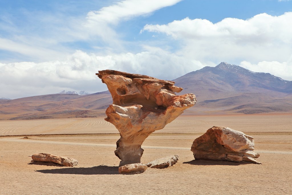 Bolivia Dali Desert