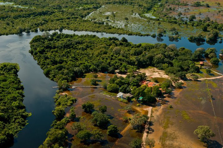 View of the Pantanal