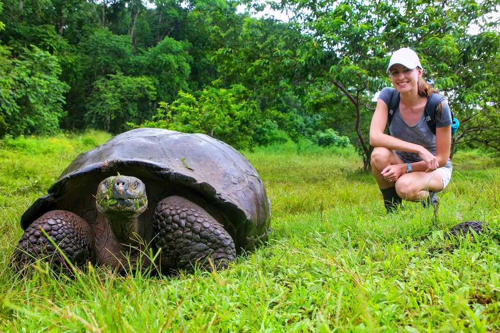 Giant Galapagos Tortoise