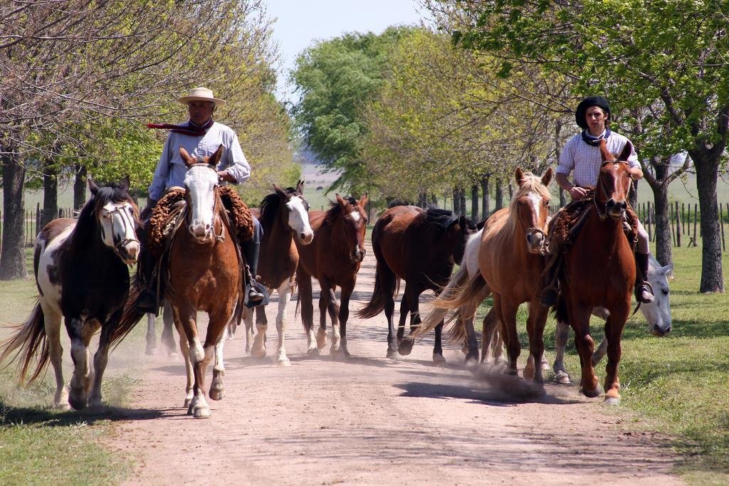 The Gaucho people with a herd of horses