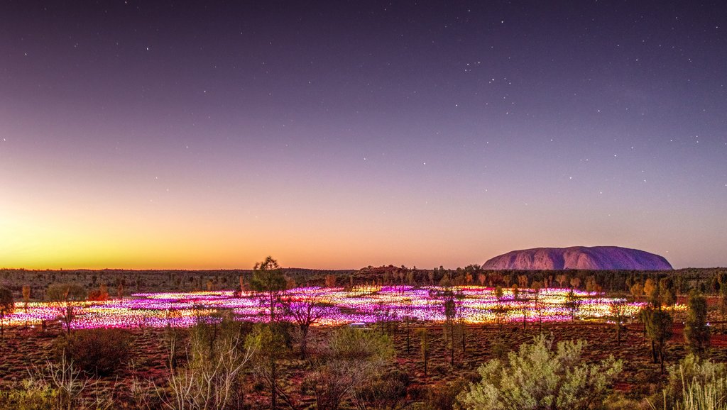 Fields of Lights Installation - Uluru