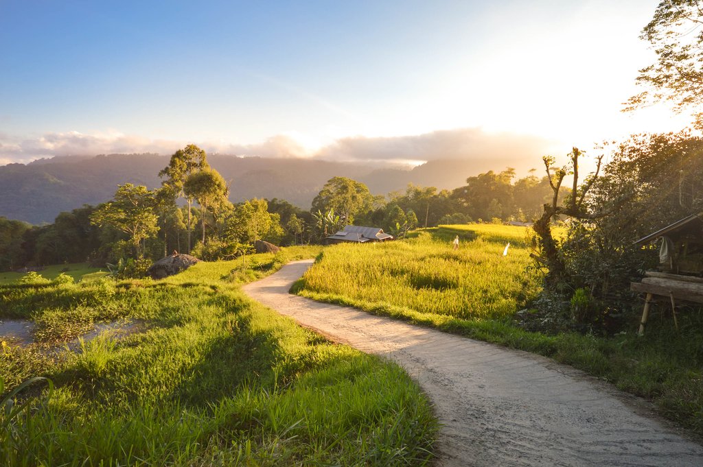 Travel through the Sulawesi highlands
