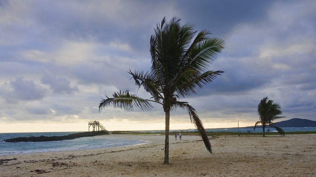 Puerto Villamil in Santa Isabela