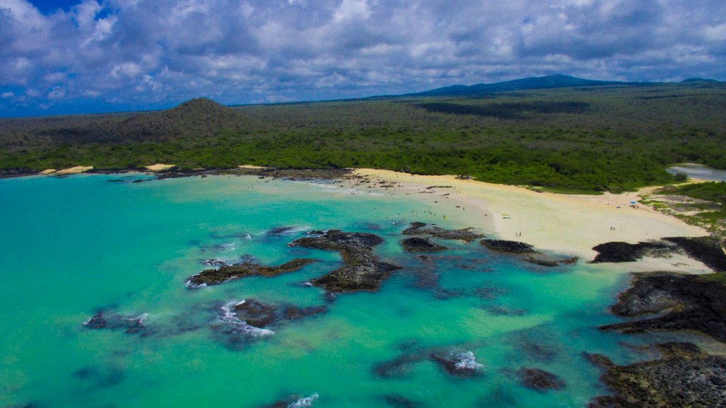 Garrapatero Beach