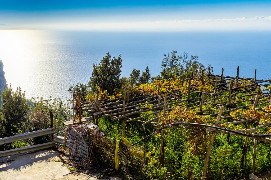 Vineyards overlooking the Mediterranean