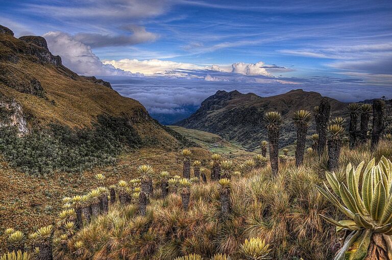 Colombia's Urban Cities & Zona Cafetera Trek - 11 Days