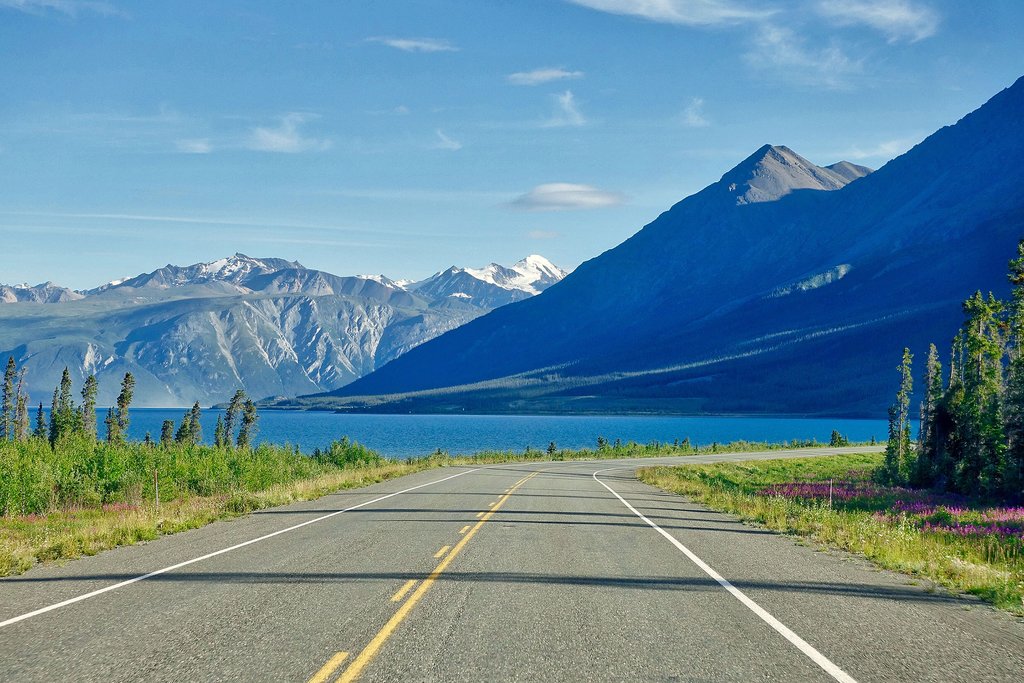 Traffic-free environs near Whitehorse