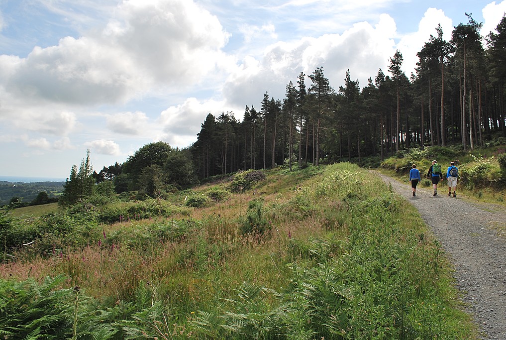 Path to Moyne