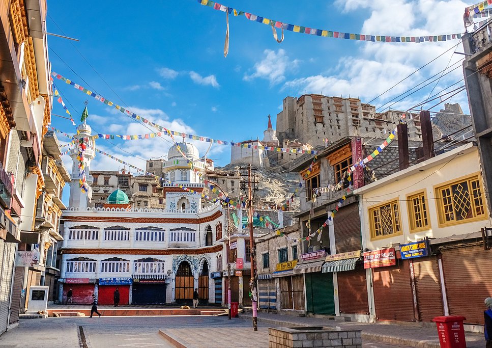 Take a tour through the city and explore the historic Leh Palace