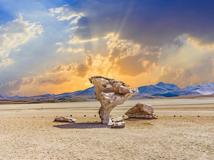Stone Tree at Siloli Desert