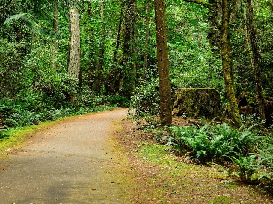Ruckle Provincial Park, Salt Spring Island