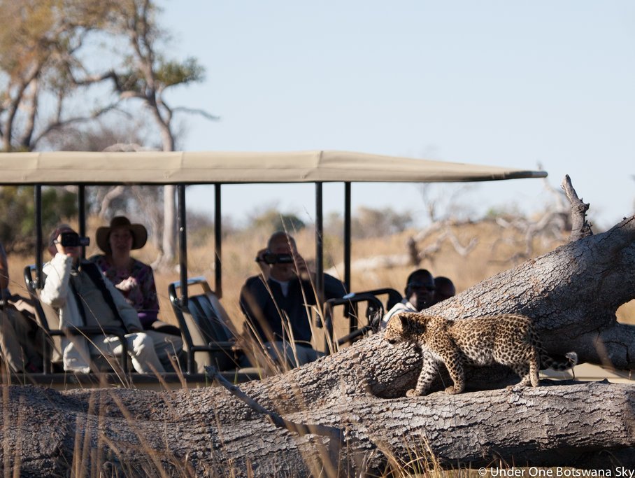 Game drive