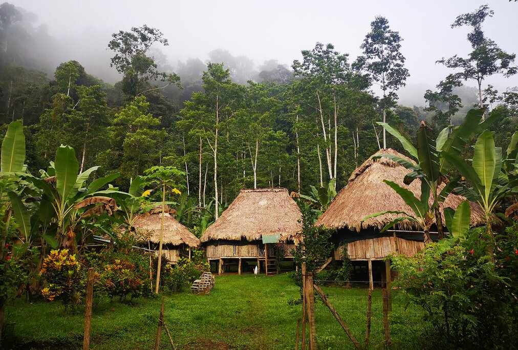 Bribri Indigenous One Day Experience