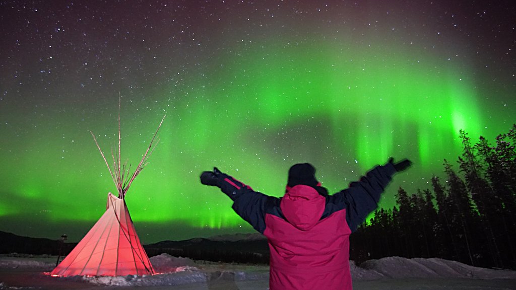 A breathtaking view of the Northern Lights