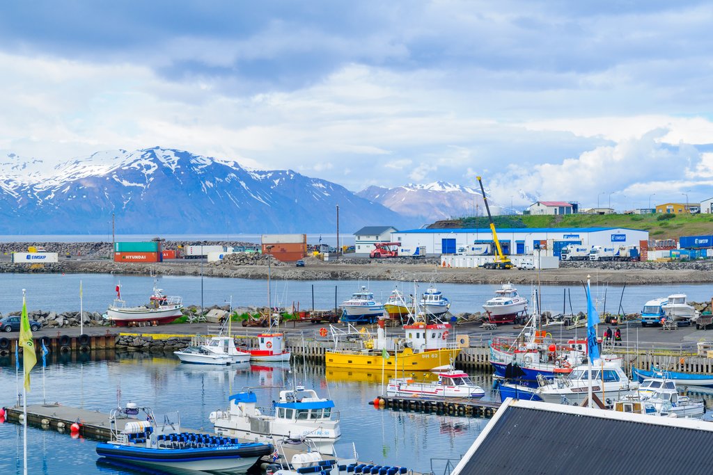 The harbor at Husavik, Iceland's whale watching capital
