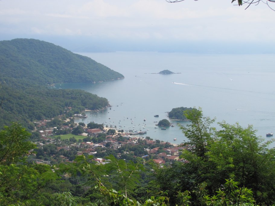 The Green Coast is a corridor of forest that stretches between the mountains and water