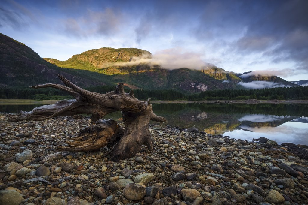 The shores of Buttle Lake, Strathcona Provincial Park