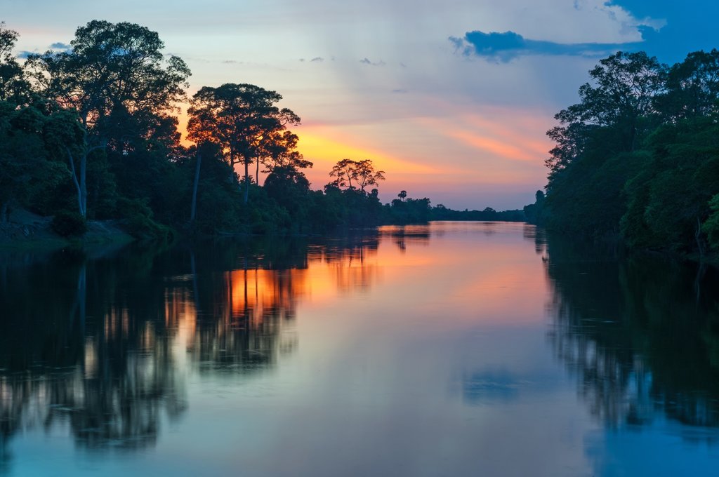 Sunrise in the rainforest