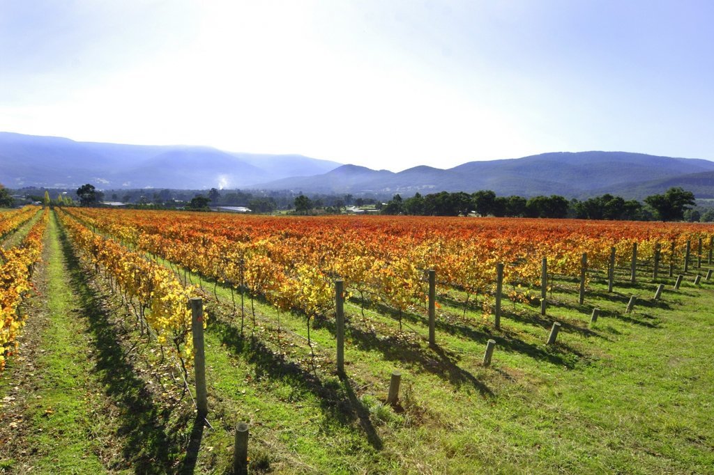 Yarra Valley