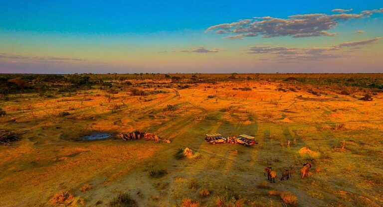 Wild Botswana Safari - 11 Days