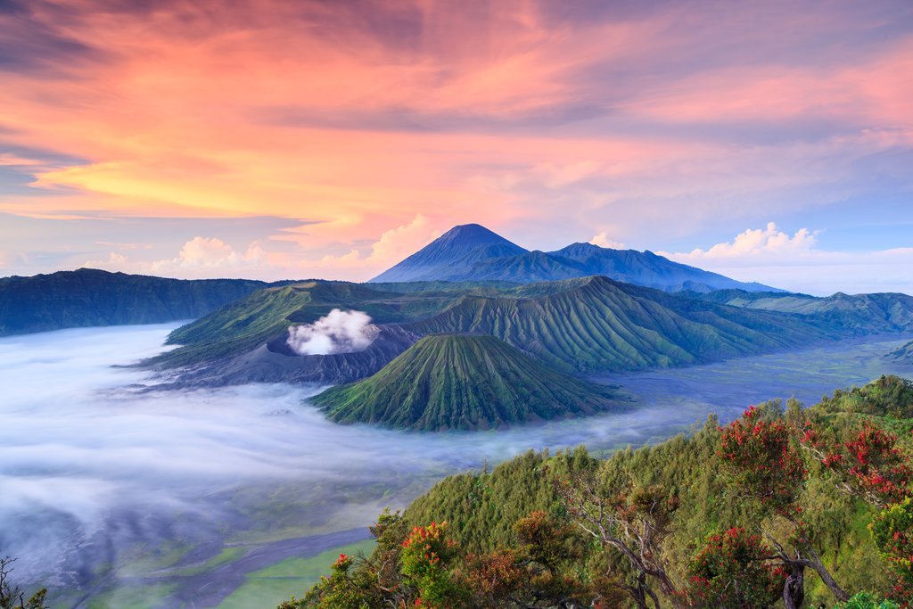 Bromo