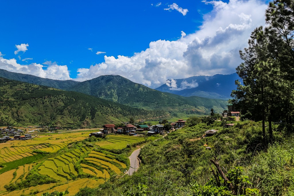 Wangdue Valley