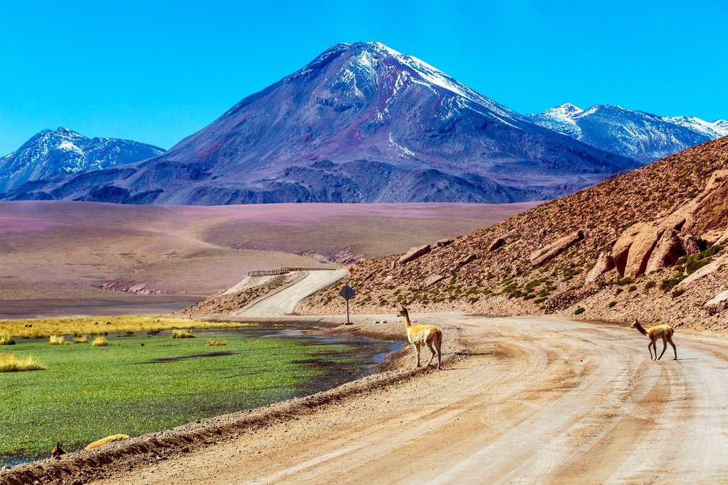 San Pedro de Atacama