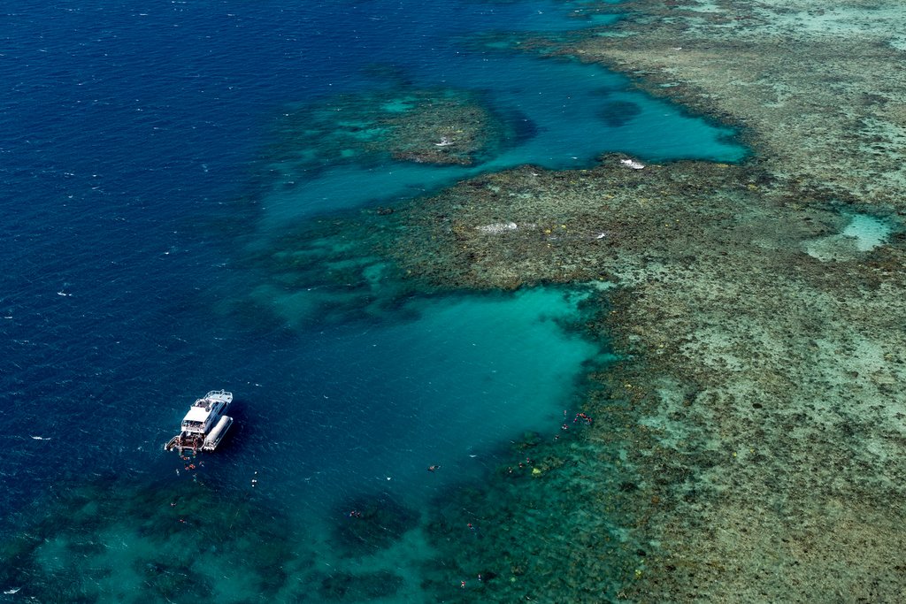 The Great Barrier Reef