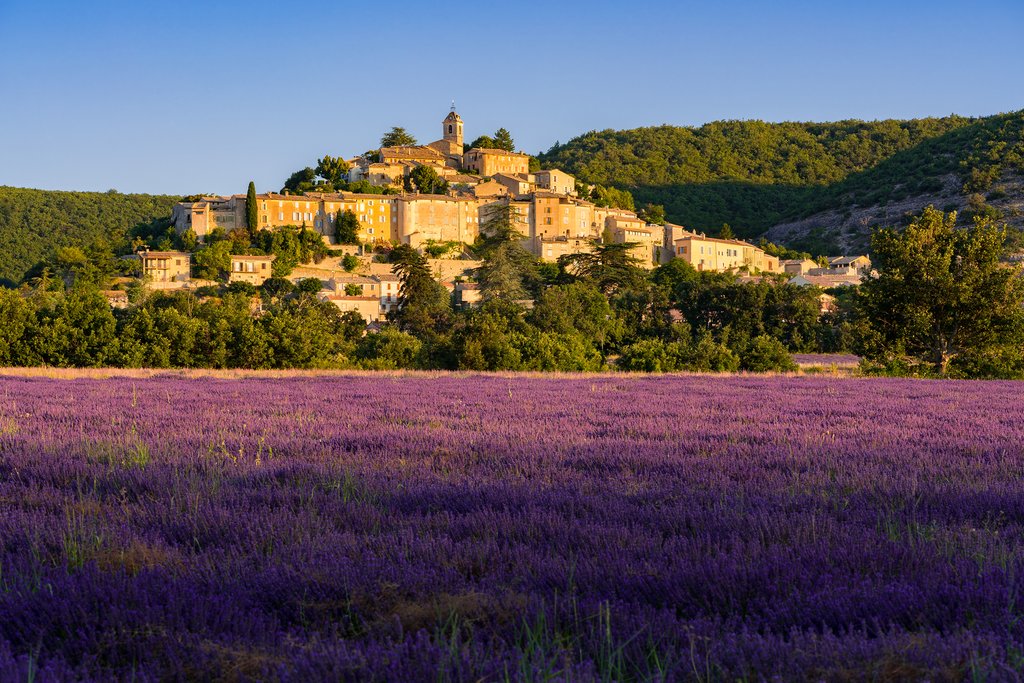 Drive along lavender fields and pass by medieval villages