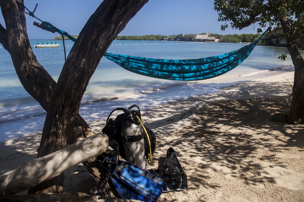 Go diving and then relax in a hammock