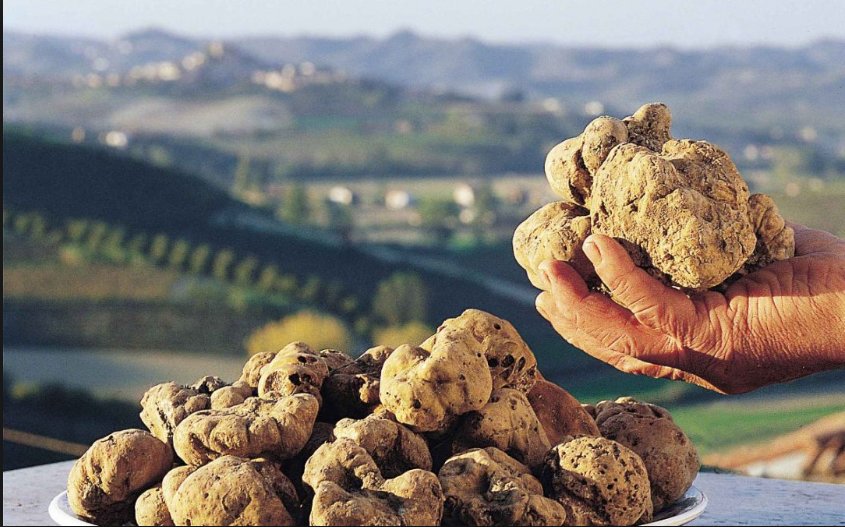 Truffle