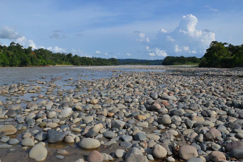 Cool off with a swim in the Misahuallí River