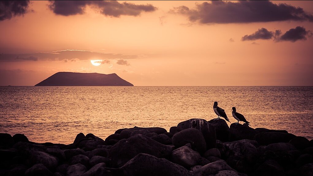 Bid the Galapagos farewell