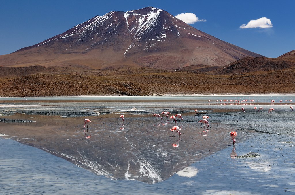 Bolivia - Laguna Hedionda