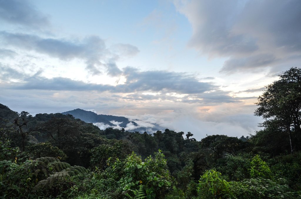 Enjoy great views of the cloud forest at Papallacta.