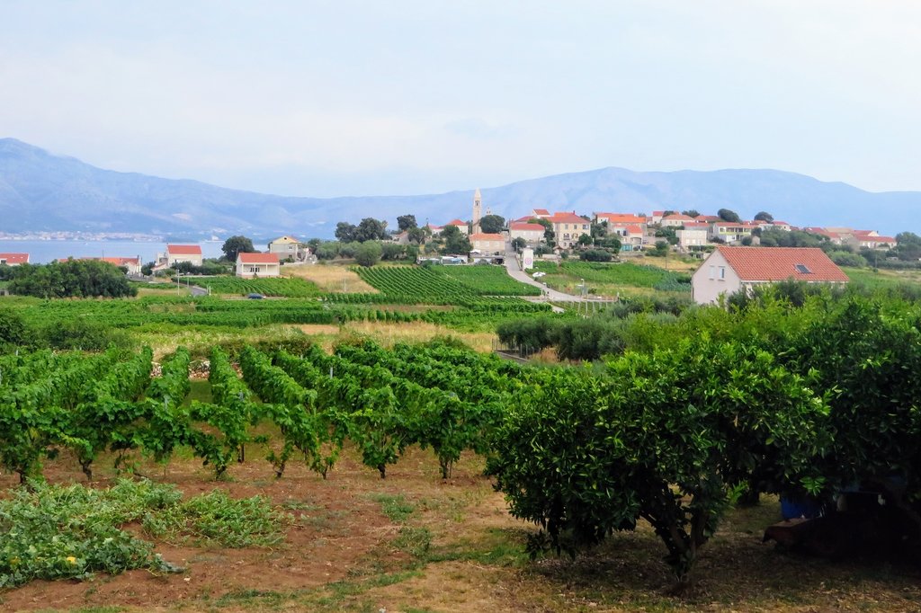 Vineyard covered hills and Lumbarda in the distance