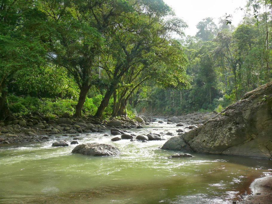The Yorkin River