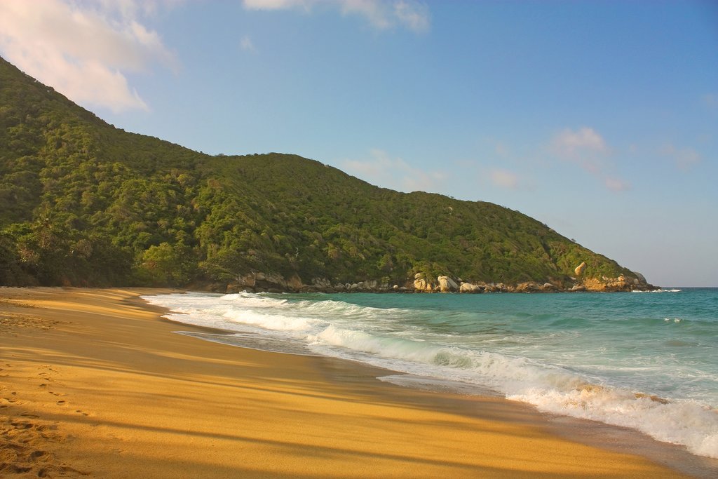 Beach and forest in Tayrona National Park