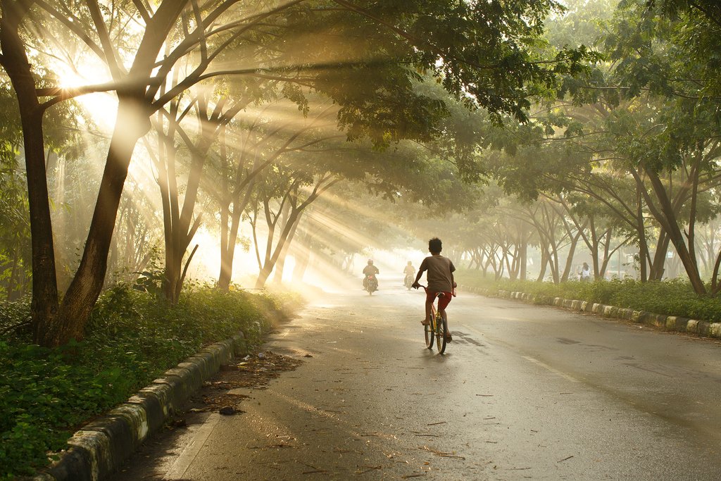 Go on an early morning cycling tour